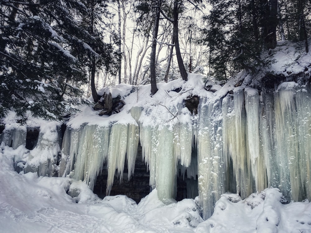 a frozen waterfall in the middle of a forest