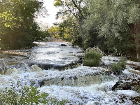 An illustrated chapter showing a winding river surrounded by vibrant flora and fauna, with fish swimming beneath the surface.