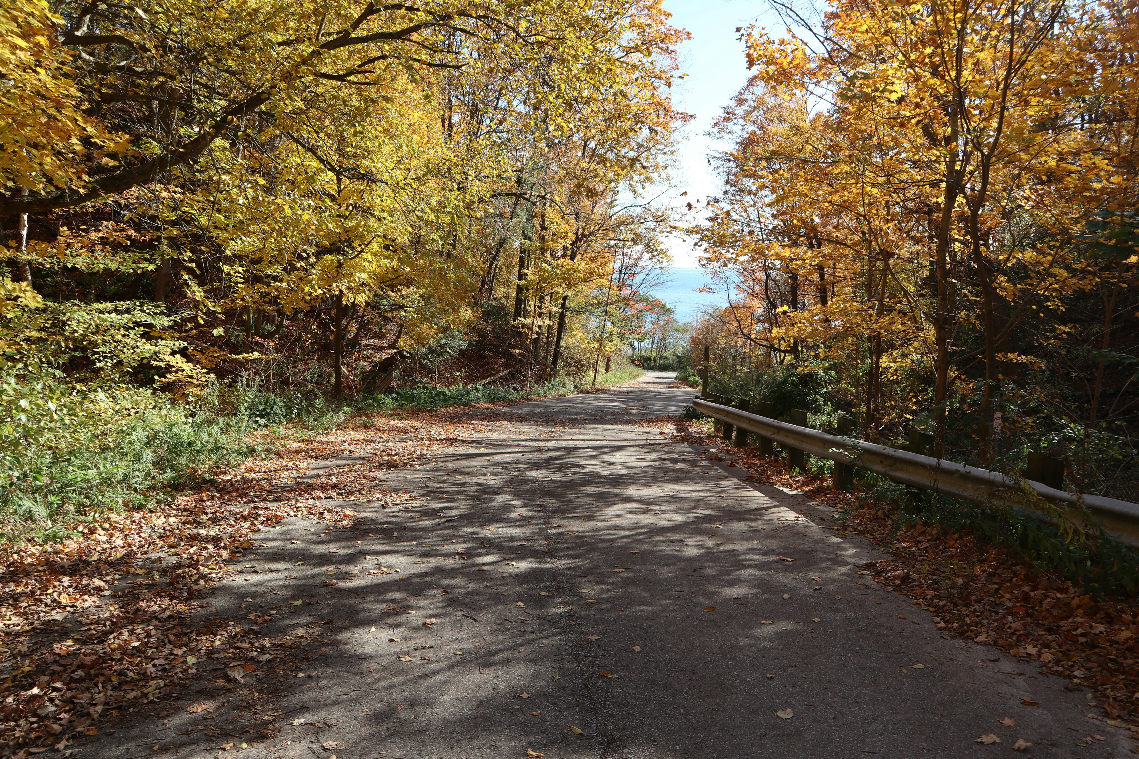 Photo by justin_ziadeh