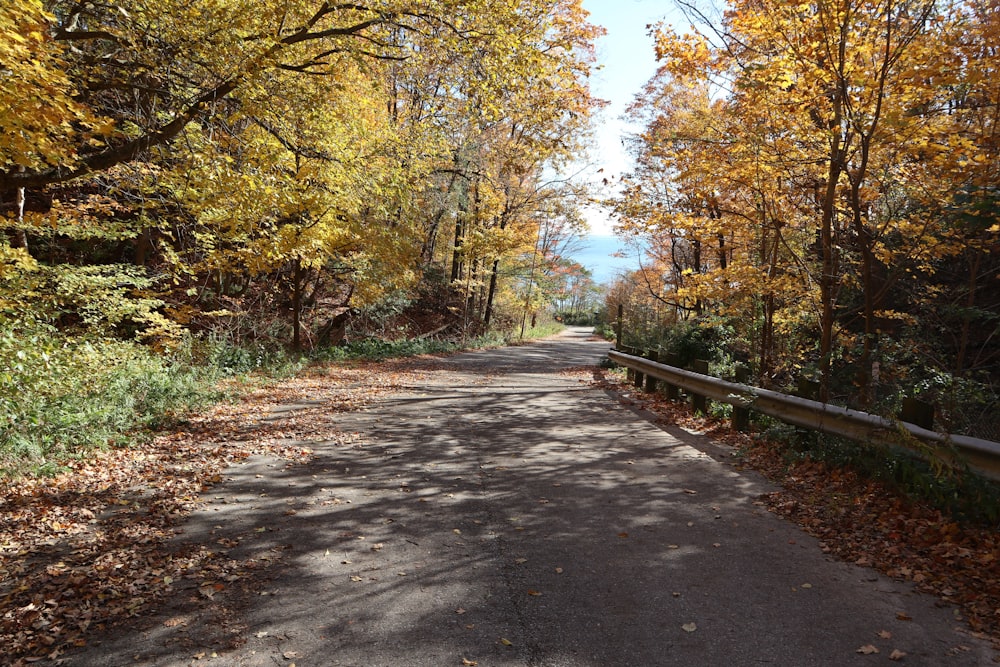 a road surrounded by trees with yellow and orange leaves