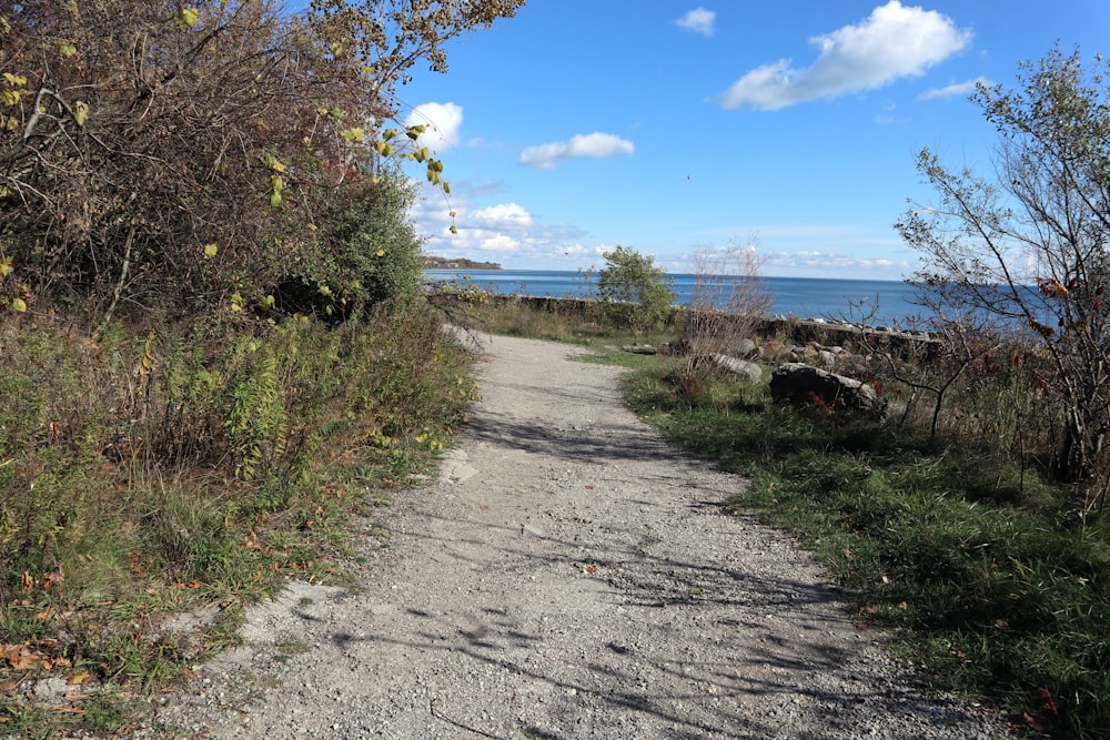 a dirt road next to a body of water