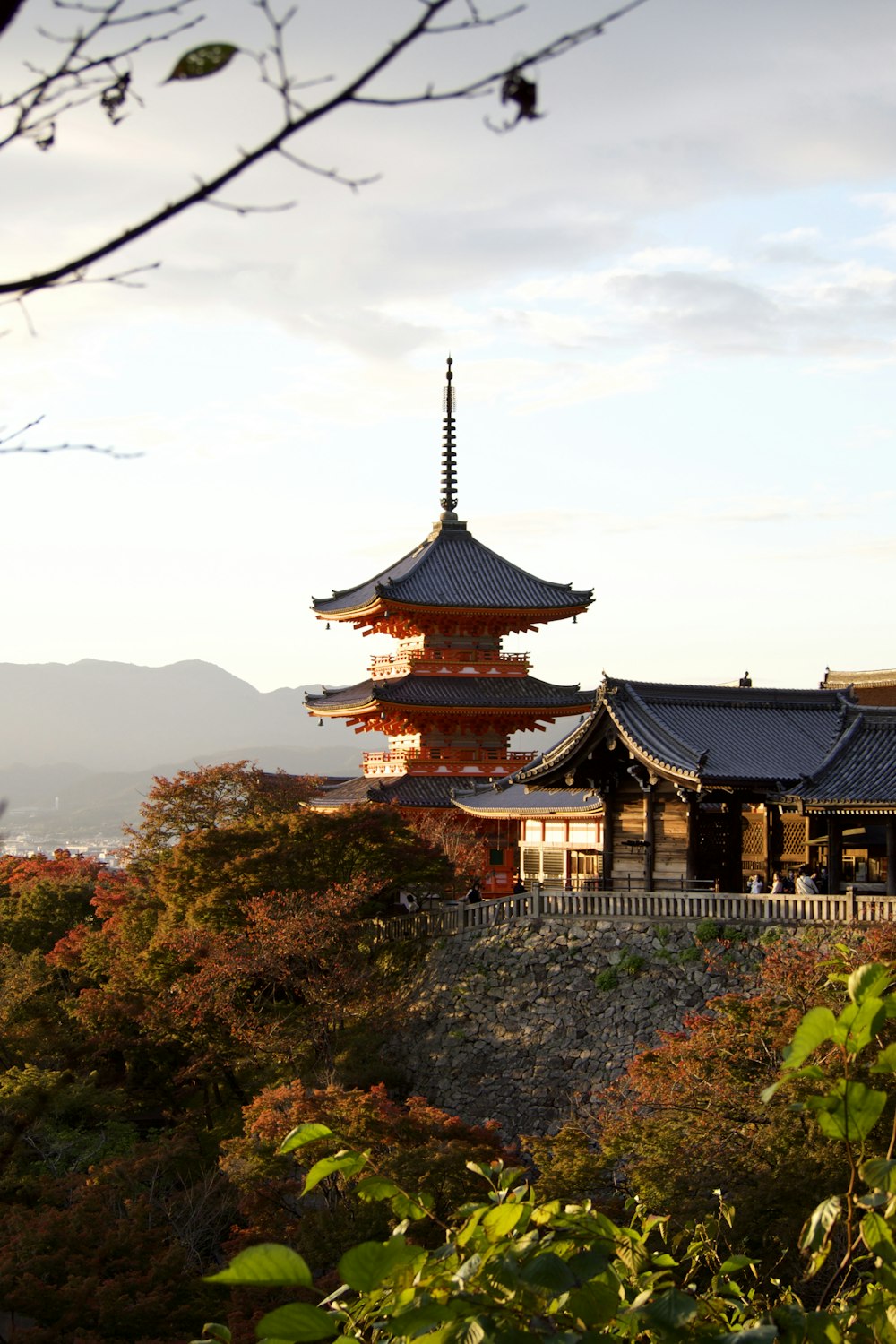 a tall building sitting on top of a lush green hillside