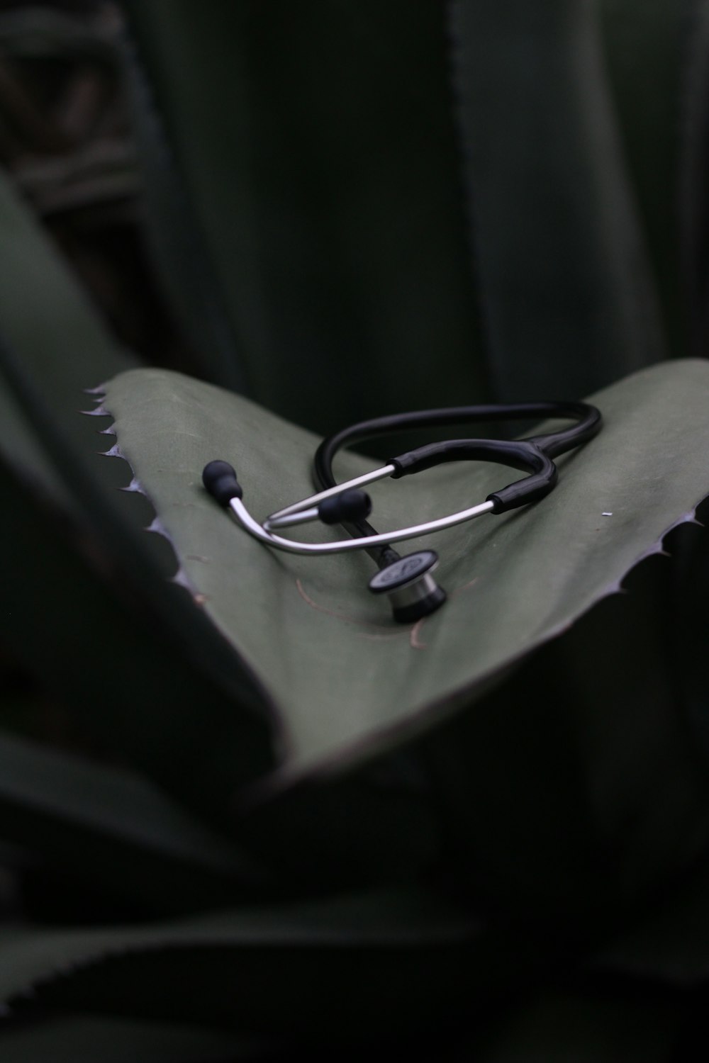 a stethoscope in the middle of a plant