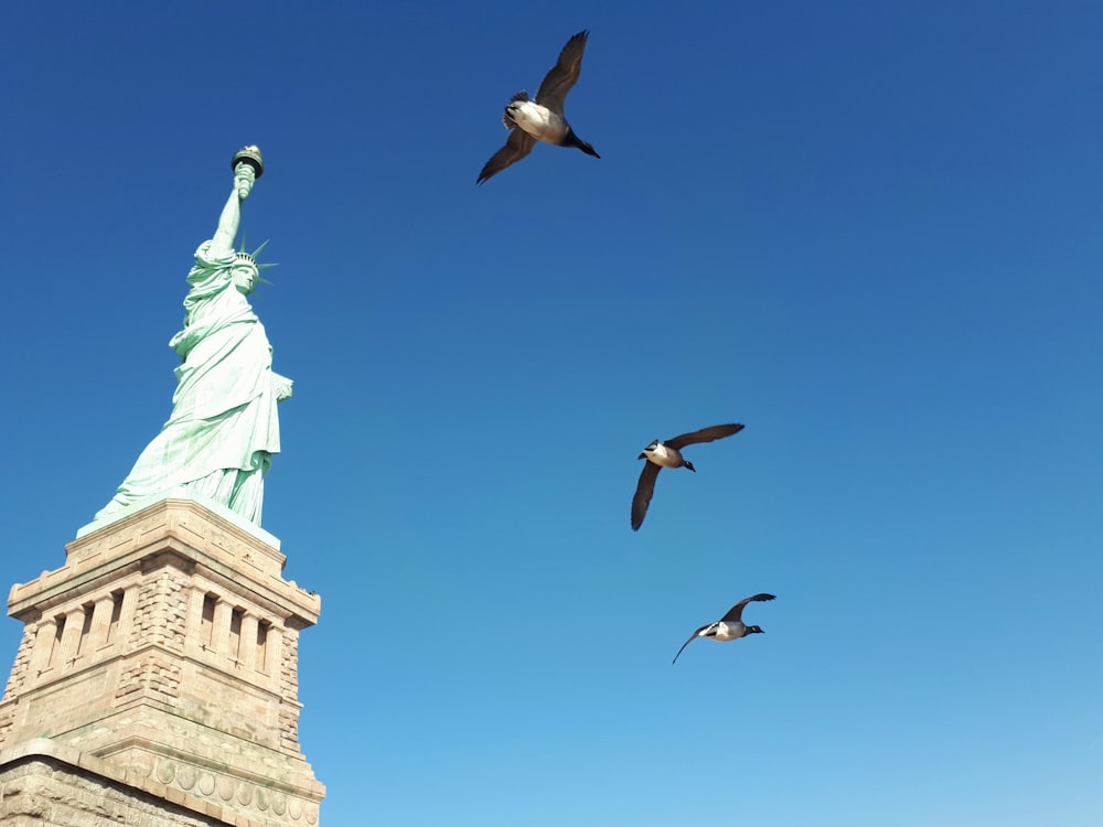 a flock of birds flying around the statue of liberty
