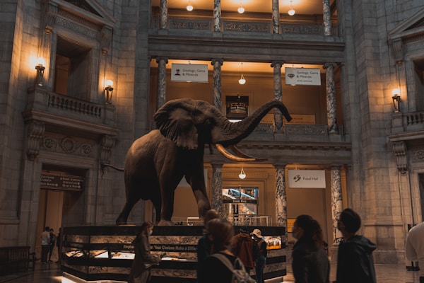 A detailed indoor scene featuring a large elephant statue prominently displayed in a museum hall surrounded by classical architecture. The background includes illuminated signs for exhibits like Geology, Gems & Minerals, and Fossil Hall. Several visitors are observing the exhibit, providing a sense of scale and highlighting the grandeur of the space.