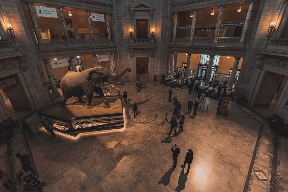 a group of people standing around an elephant statue