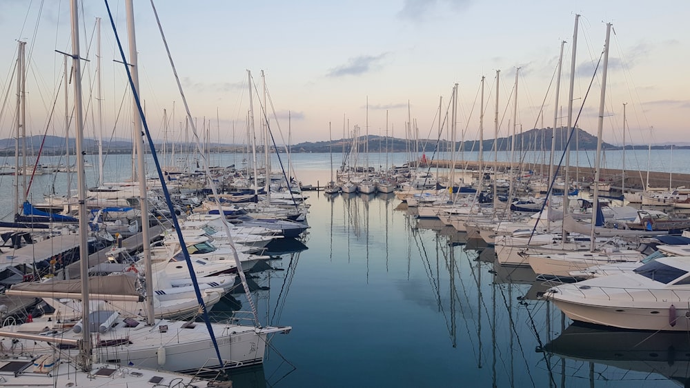 uma marina cheia de muitos barcos brancos