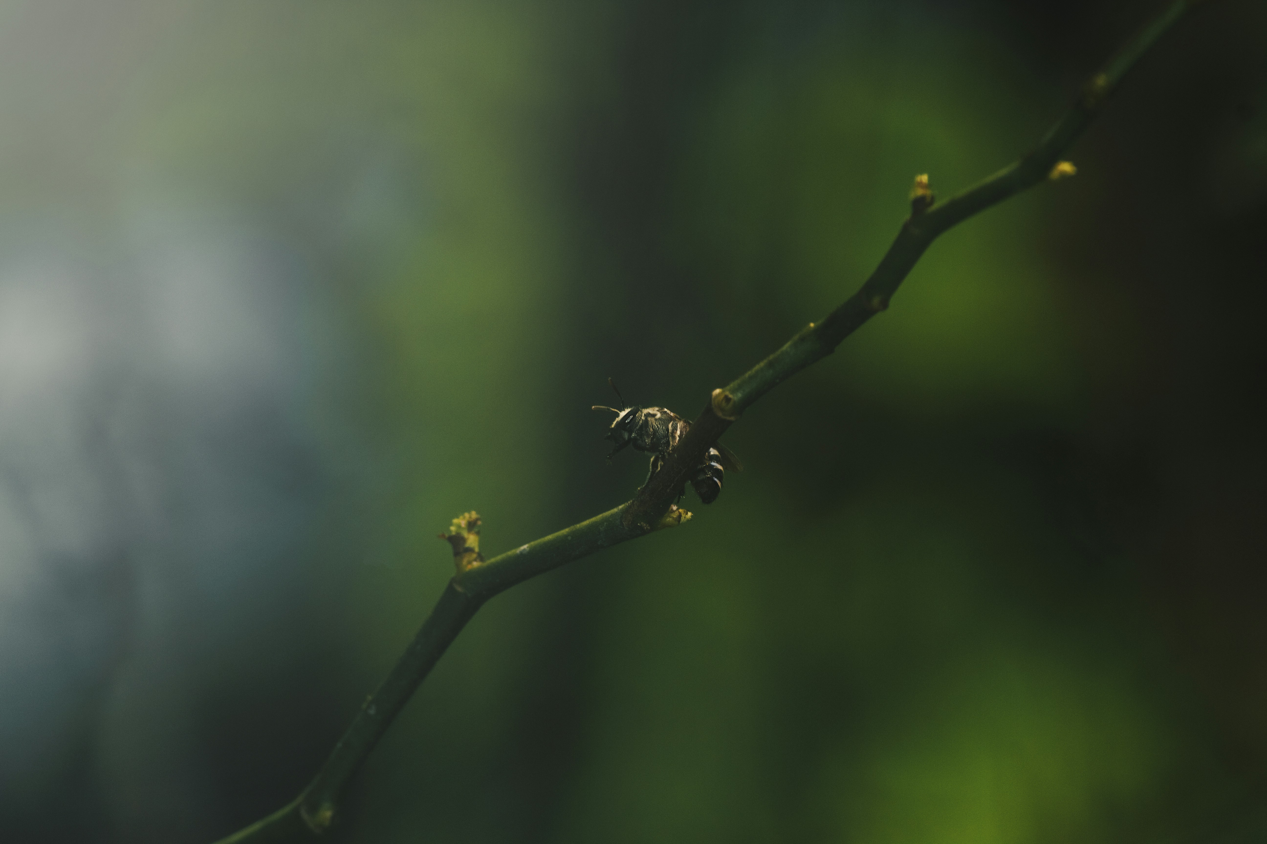 Photo by aniljose1997