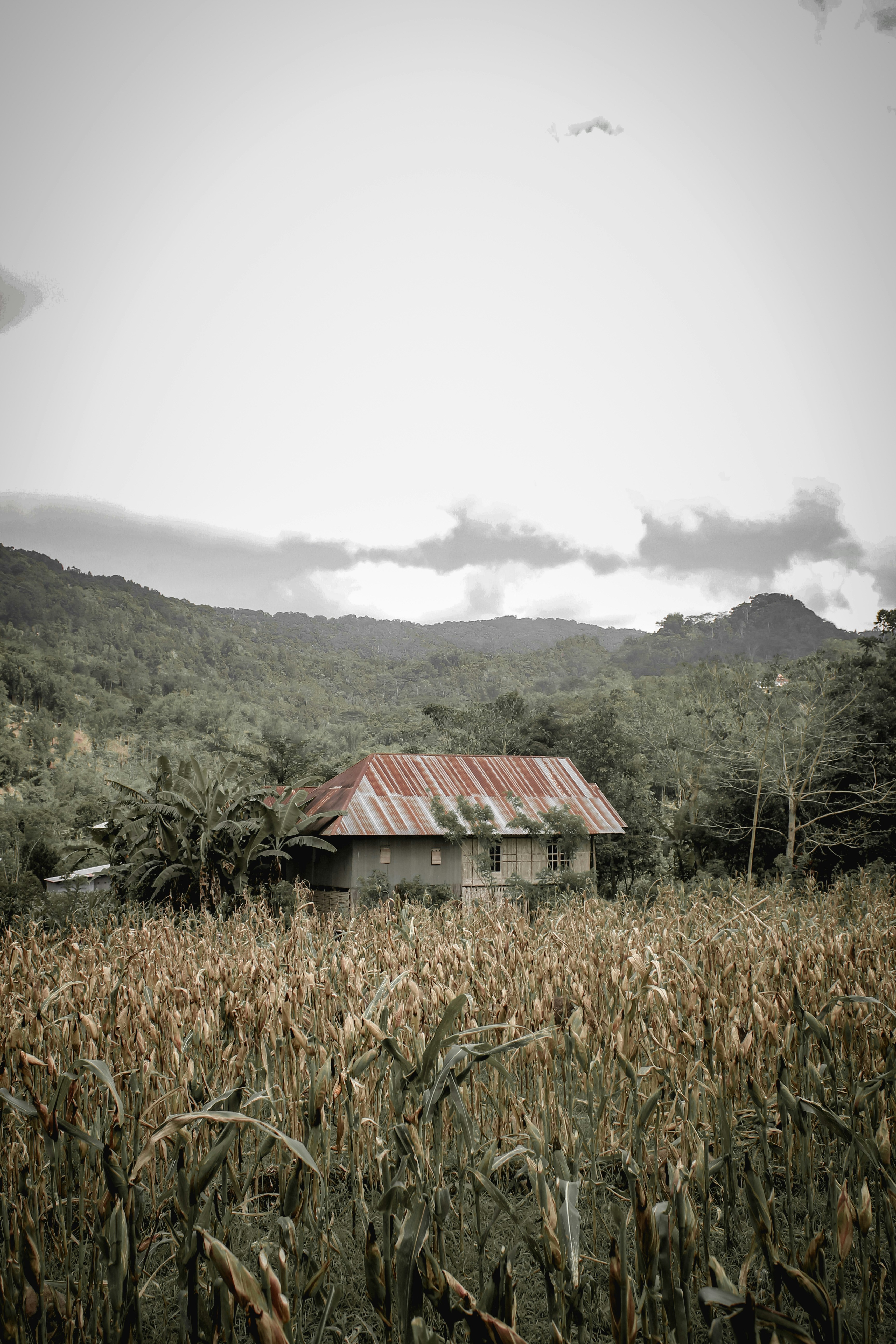 Photo by nuralamsyah