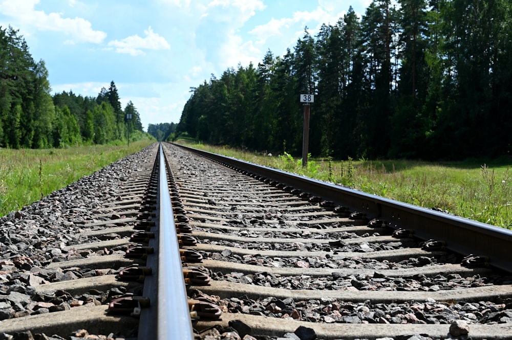 a train track running through a lush green forest