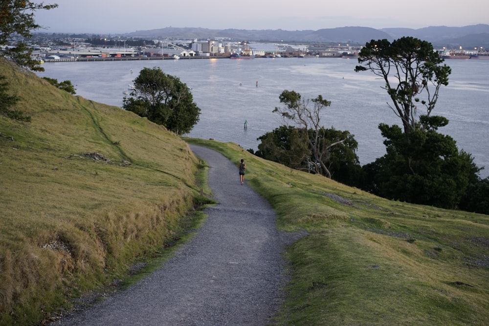 a person walking down a path near a body of water