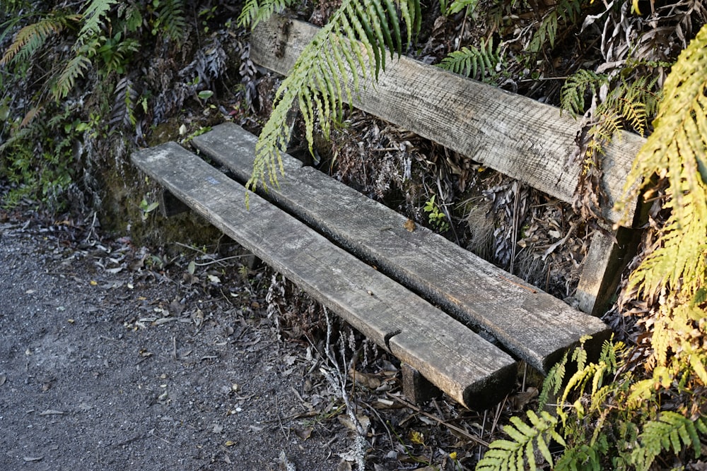 a wooden bench sitting in the middle of a forest