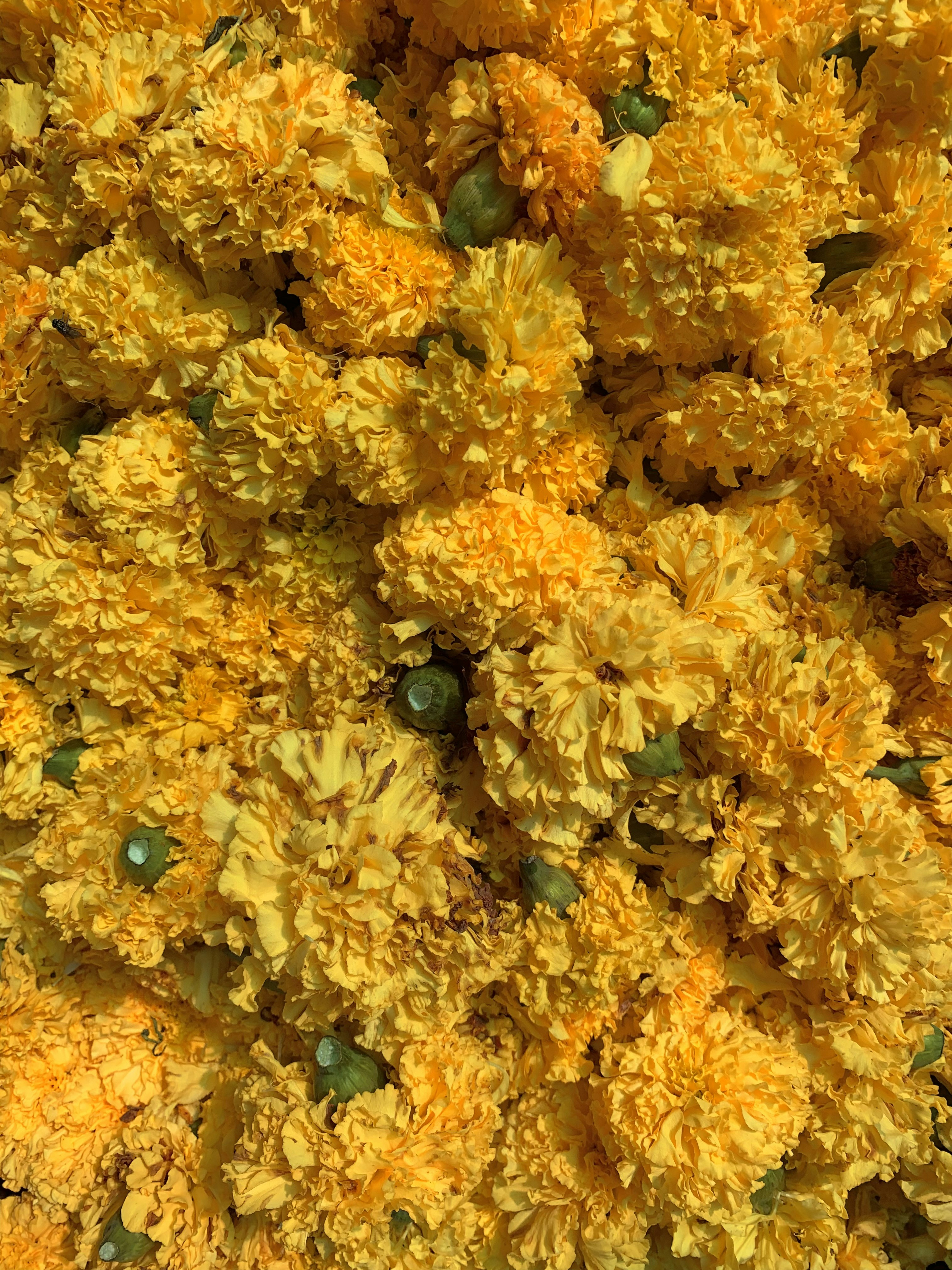 Photo by akshar_dave