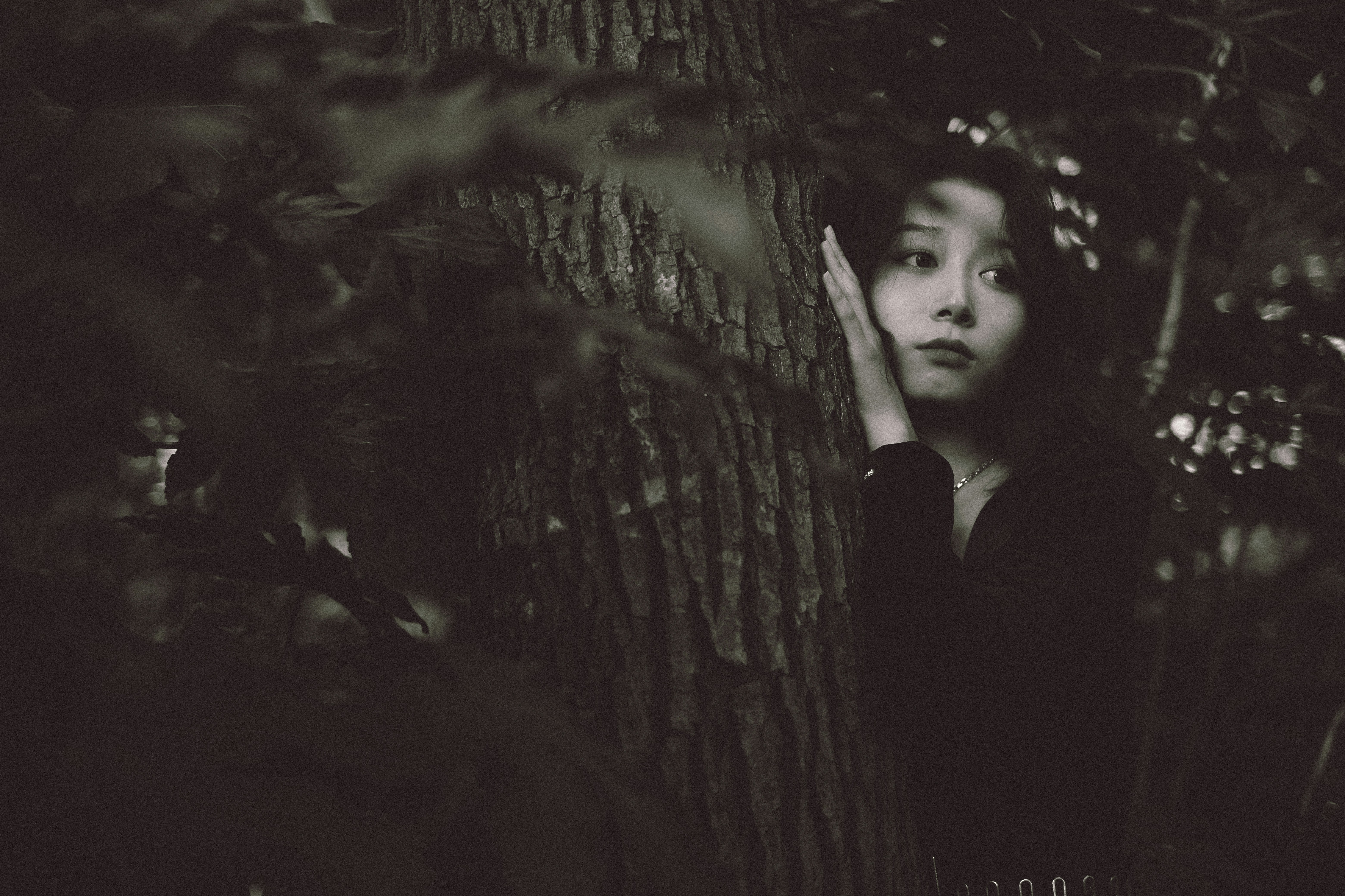Photo by ling_hua