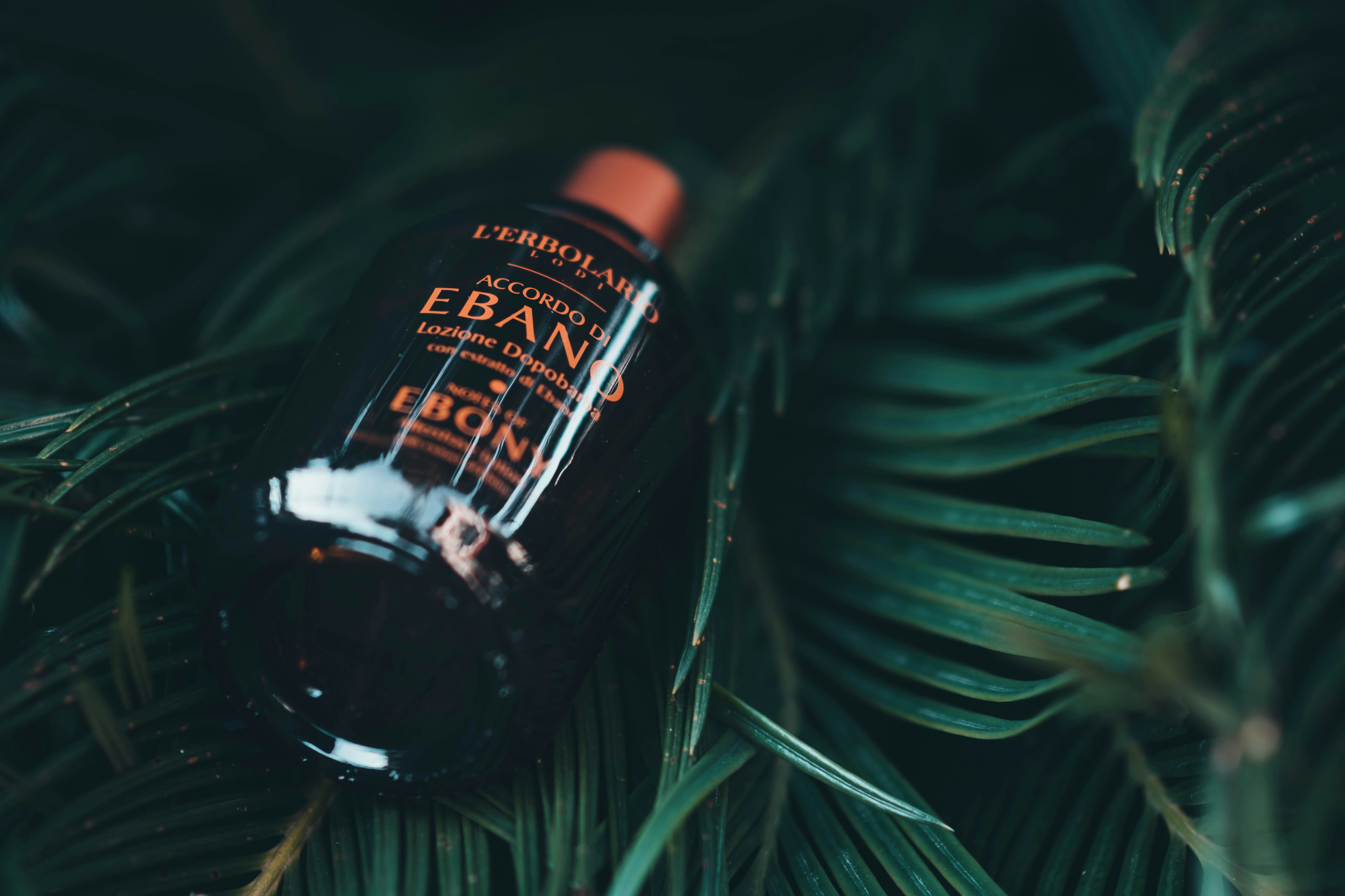 Beyond Rum: Discovering the Healing Power of Mauby in Barbados.