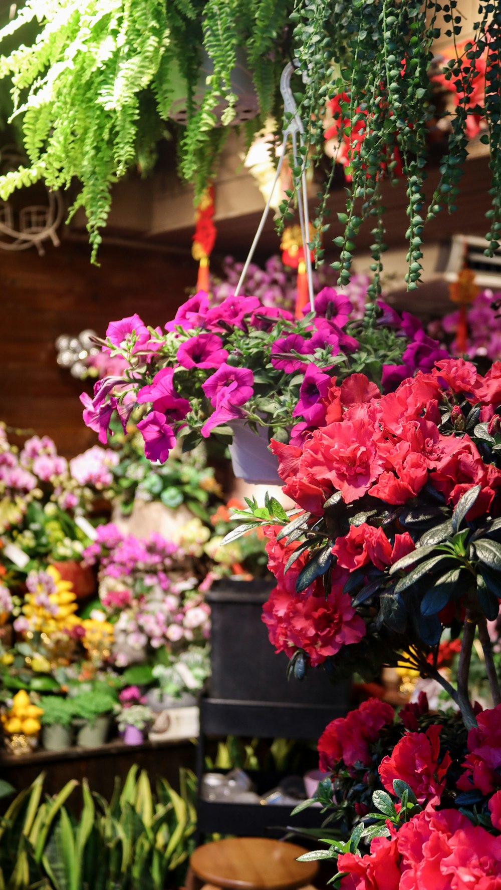 a bunch of flowers that are hanging from a ceiling