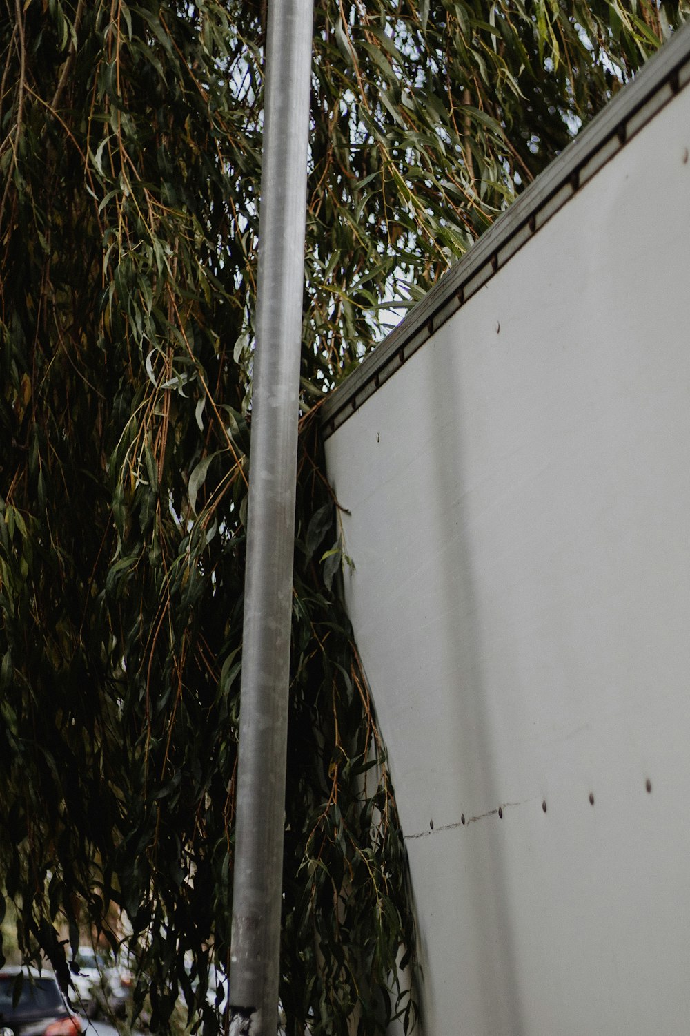 a street sign on a metal pole next to a tree