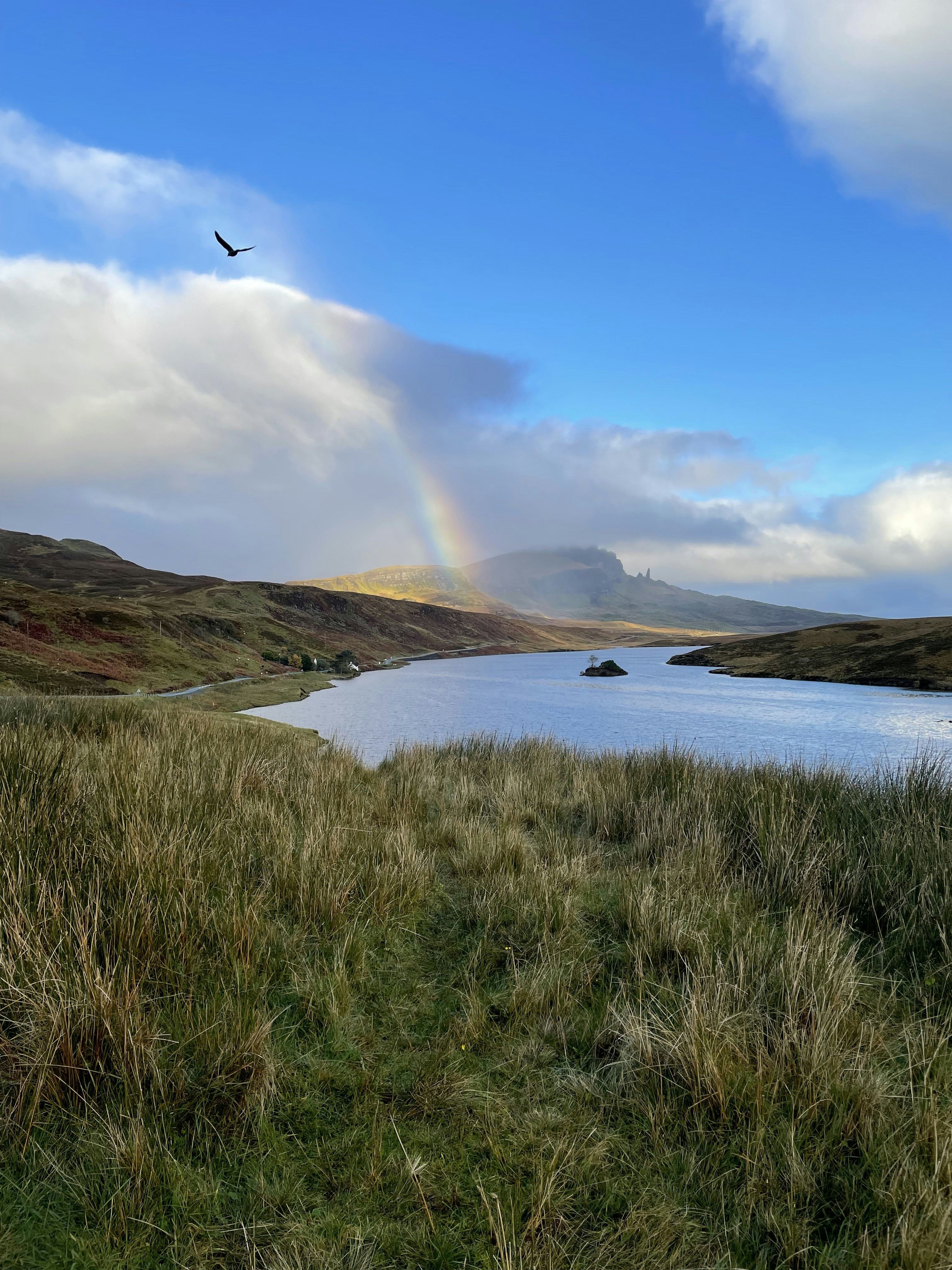 Photo by nitintulswani