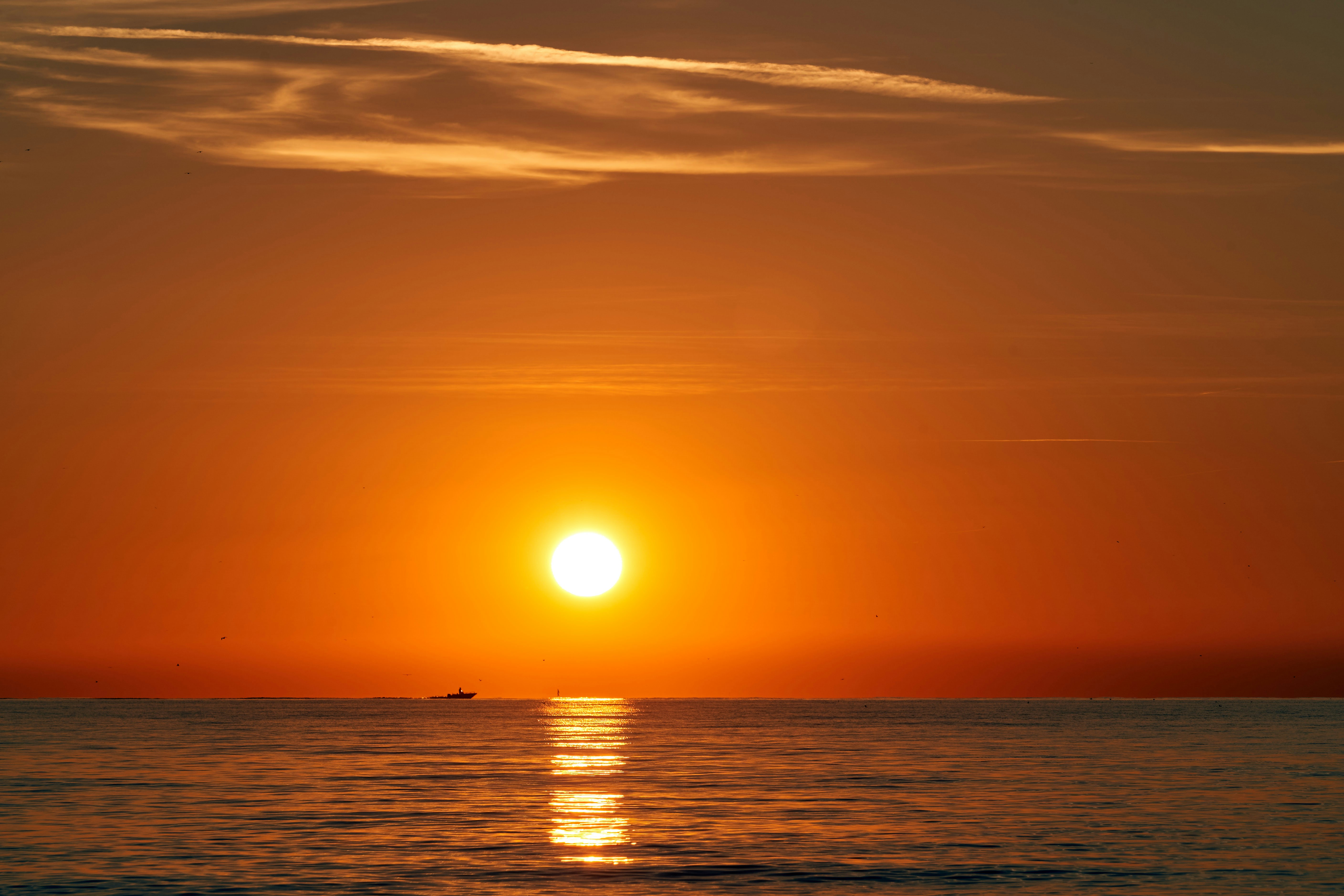 Photo by wolfgang_hasselmann