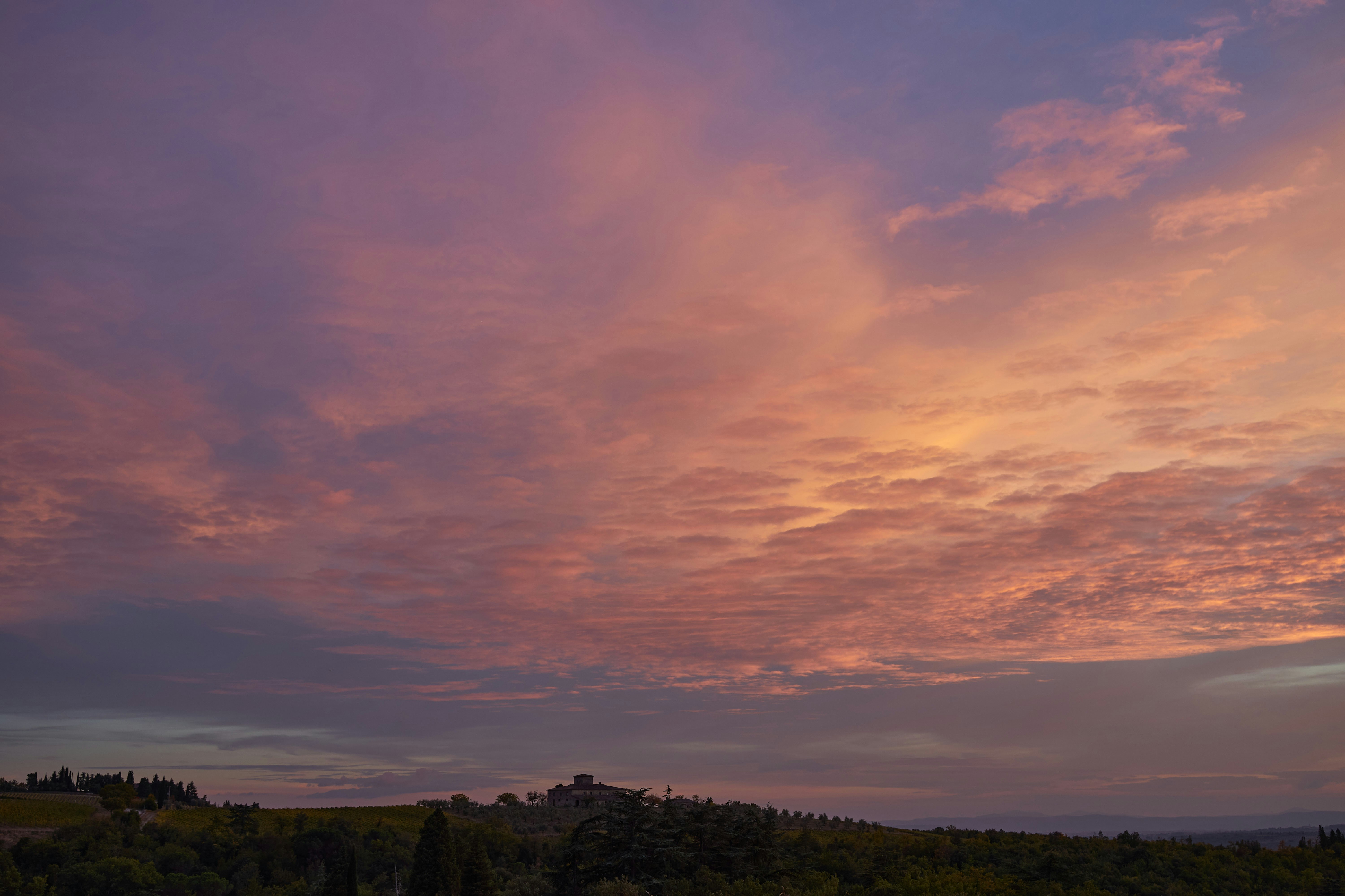 Photo by wolfgang_hasselmann