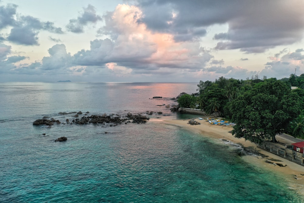 an aerial view of a beach and ocean