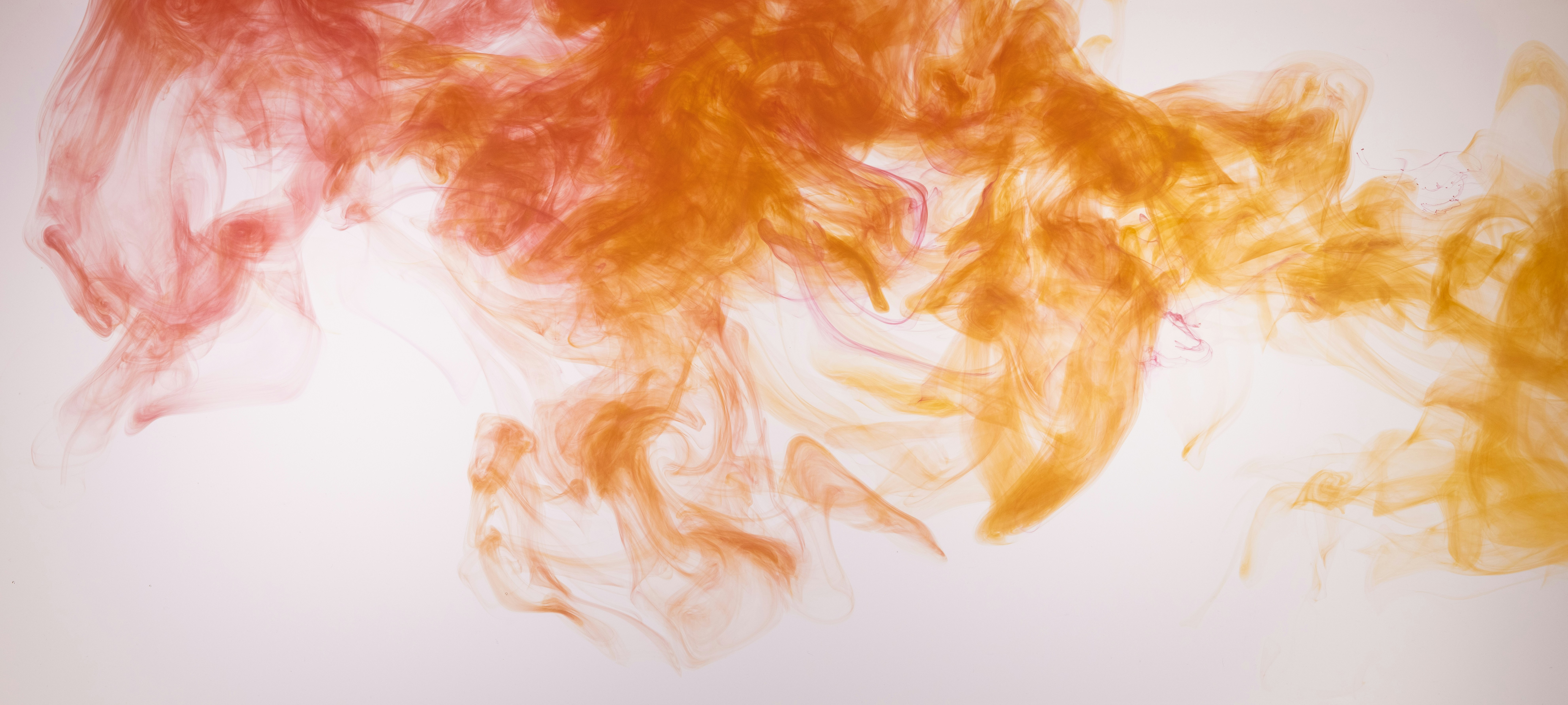 Photo by enginakyurt