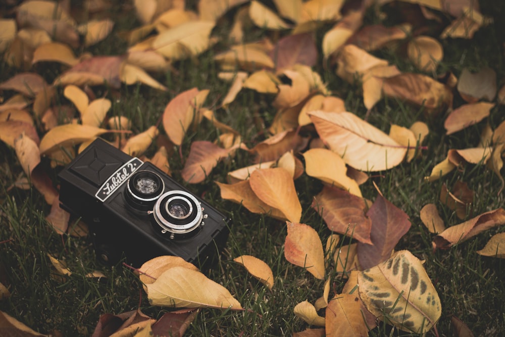 a camera sitting on top of a lush green field