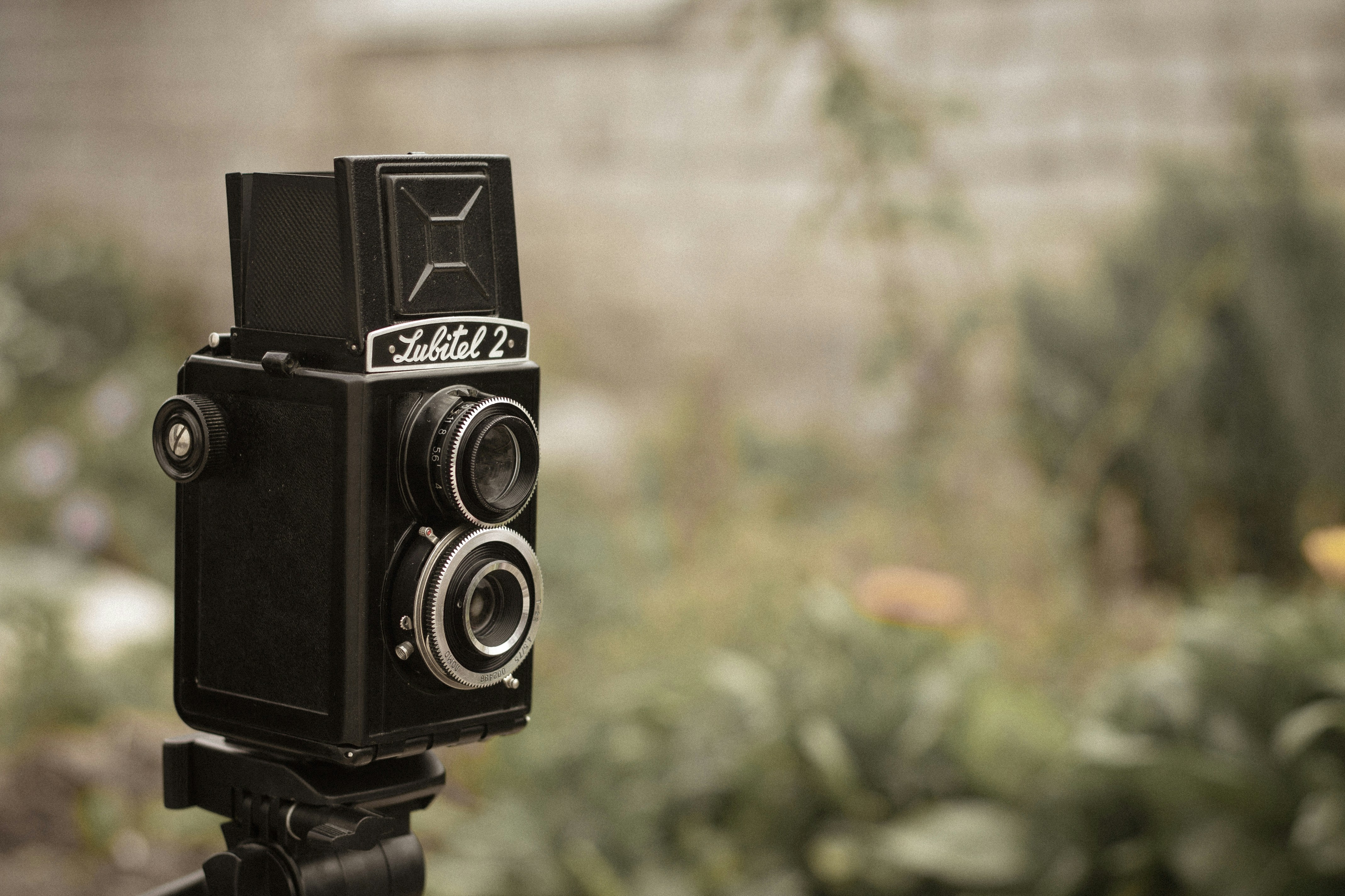 Photo by mr_papricka