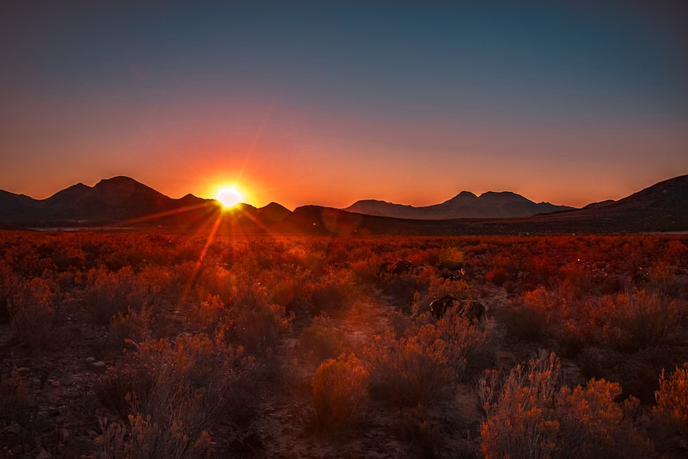 the sun is setting over the mountains in the desert