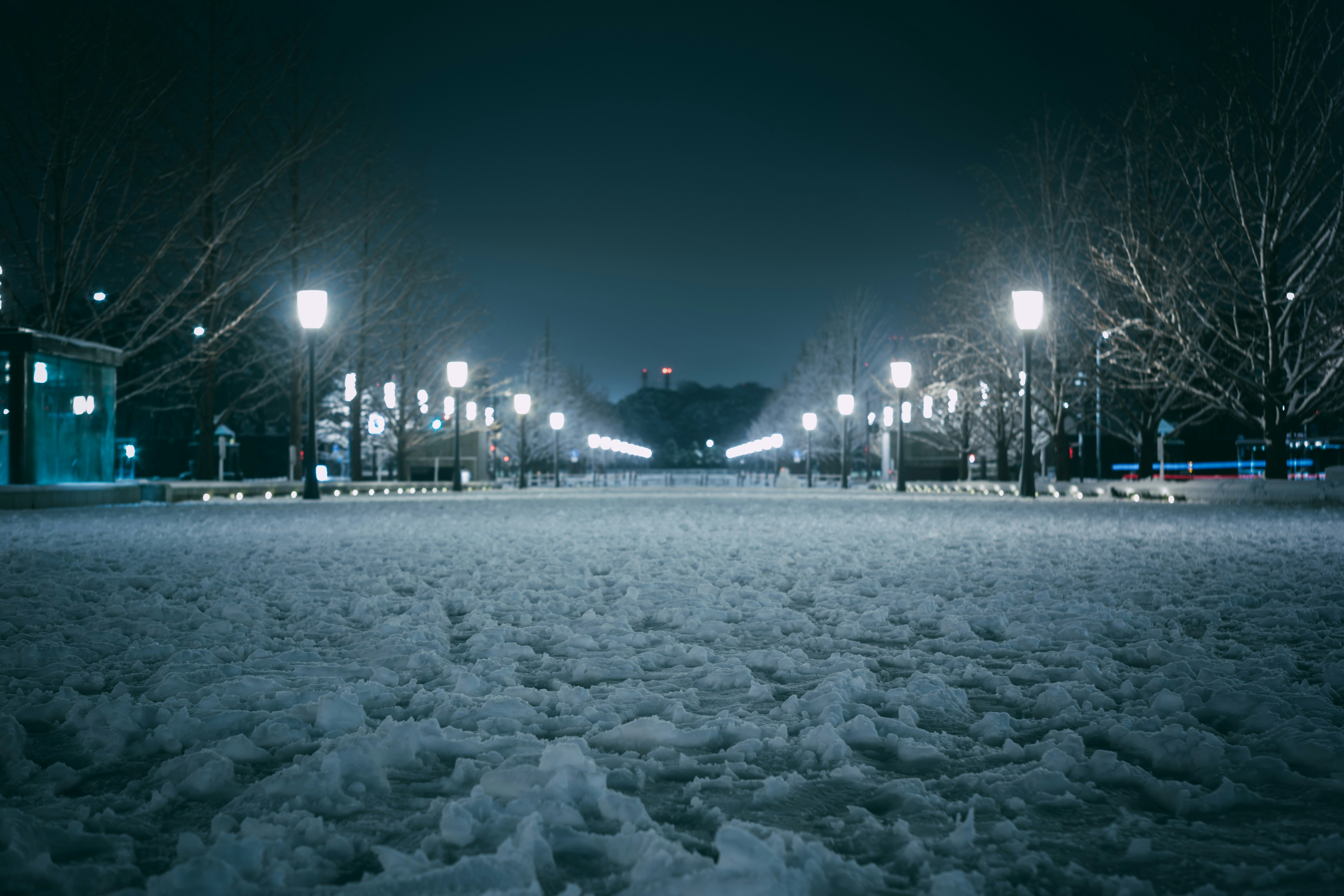 Un parque cubierto de nieve por la noche con luces de la calle