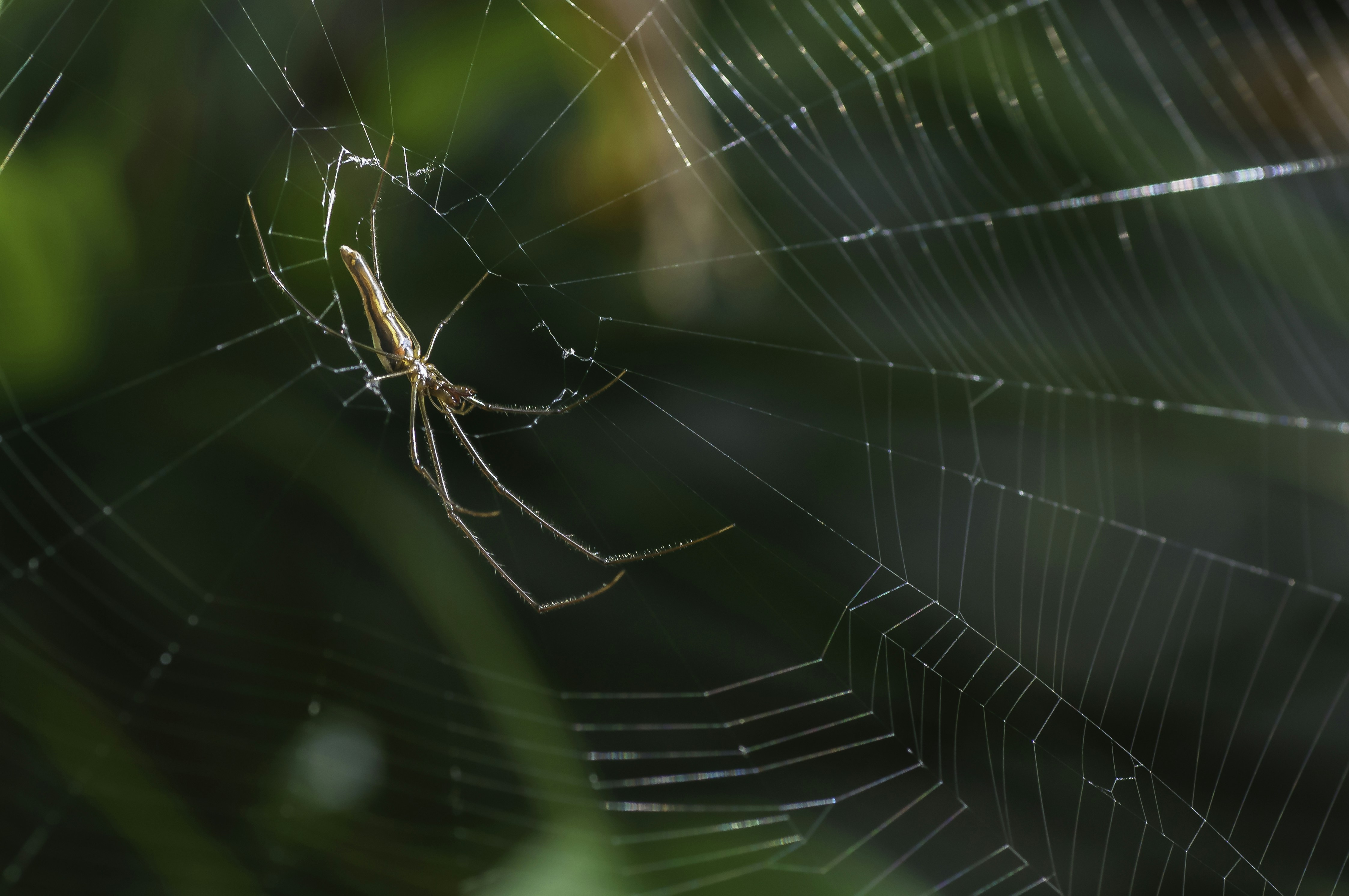 Photo by thom_oxford