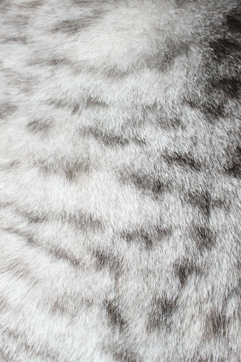 a close up of a fur texture