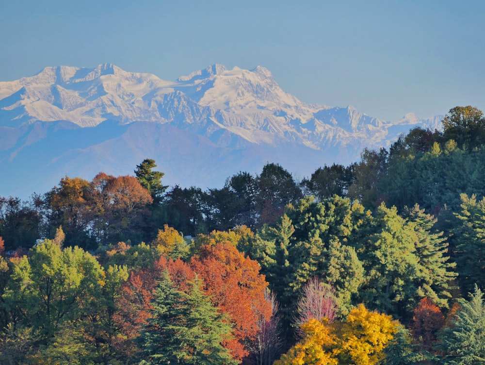 a view of a mountain range with trees in the foreground