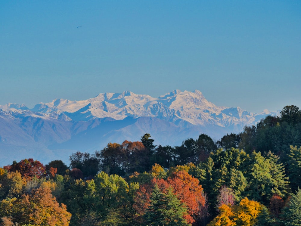 a view of a mountain range with trees in the foreground