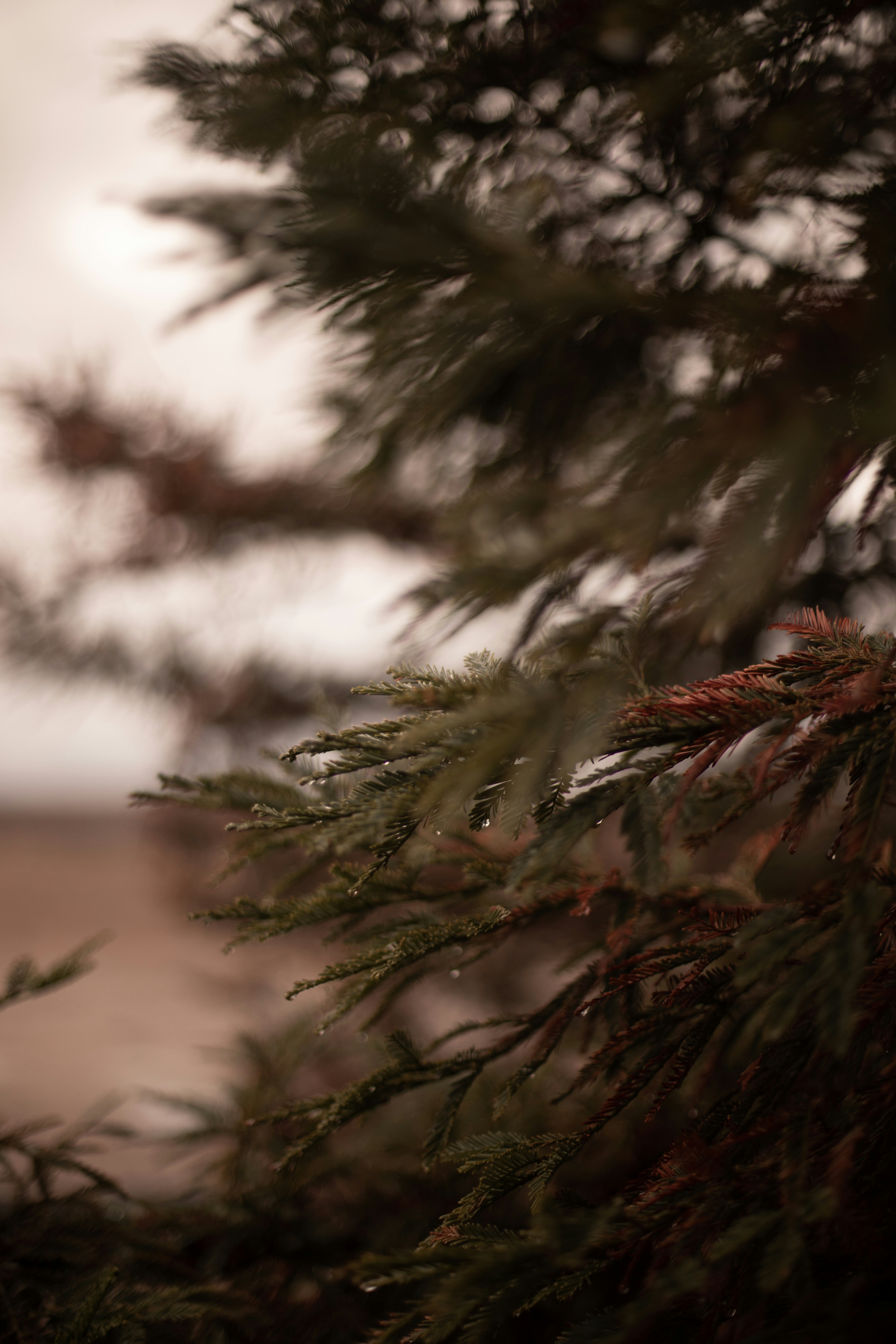 Photo by sixteenmilesout