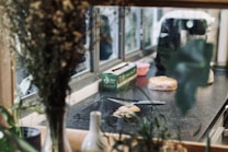 The scene captures a cozy kitchen setting with a wire rack holding baked goods near a window. A box and a pink container are placed on the countertop, with a coffee maker nearby. Plants and foliage frame the foreground, adding a natural element.