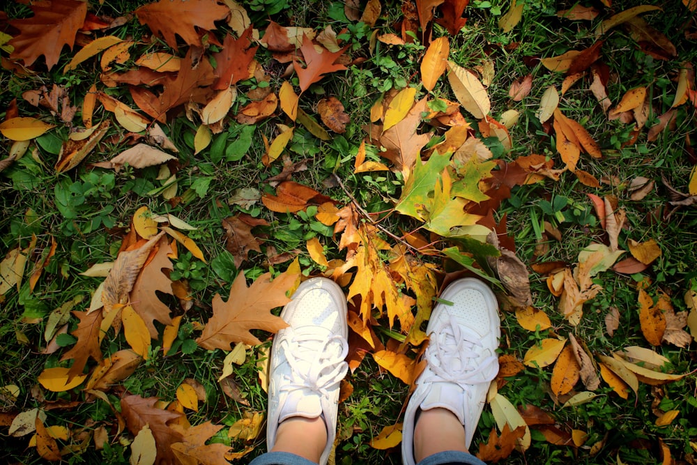 a person standing in a field of leaves