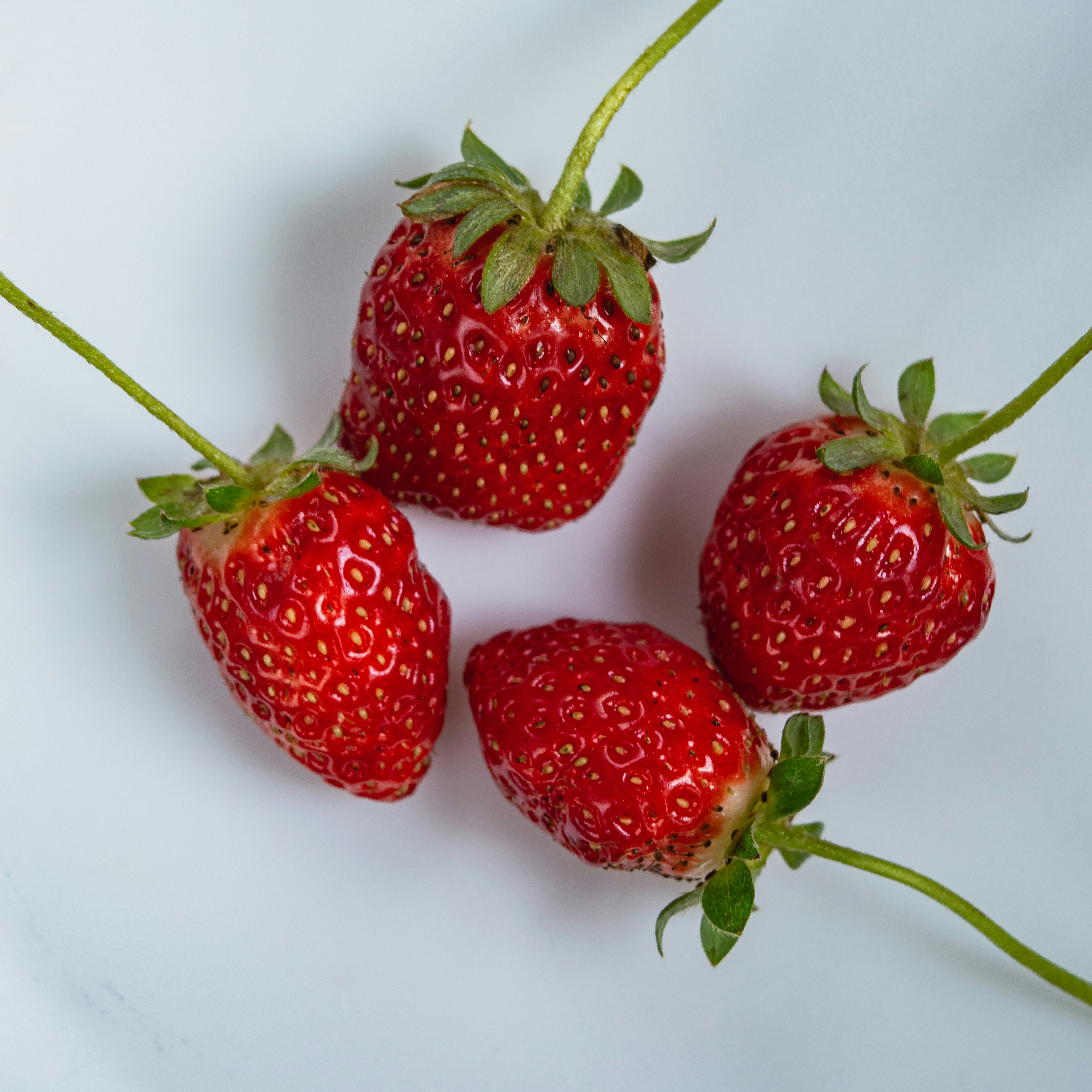 Photo by imsogabriel