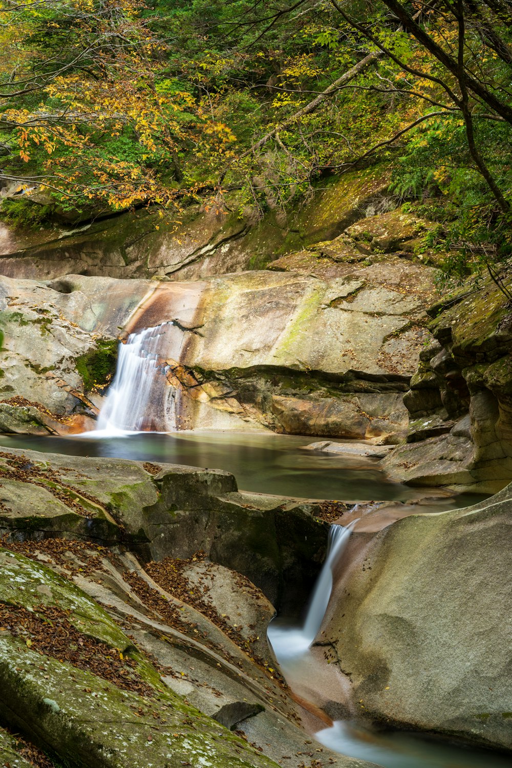 Une petite cascade au milieu d’une forêt