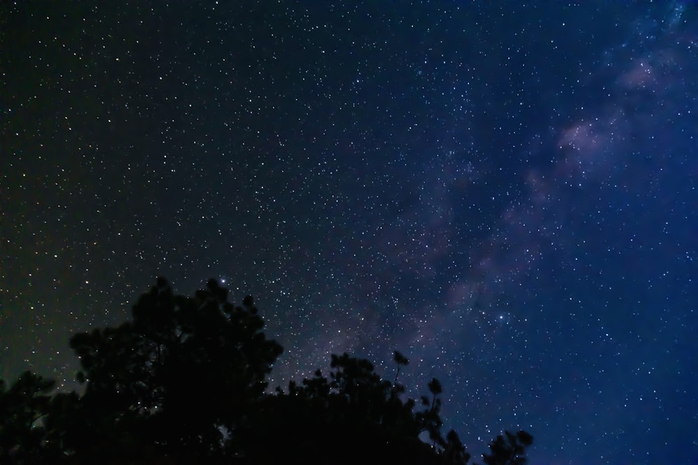 the night sky is filled with stars and trees