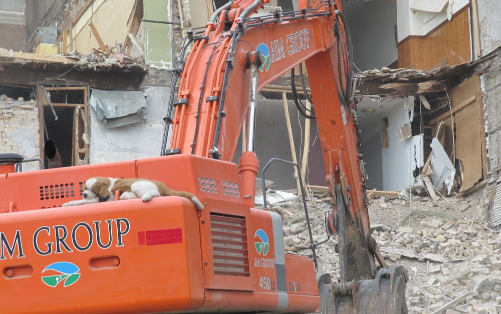 an orange excavator with a dog laying on top of it