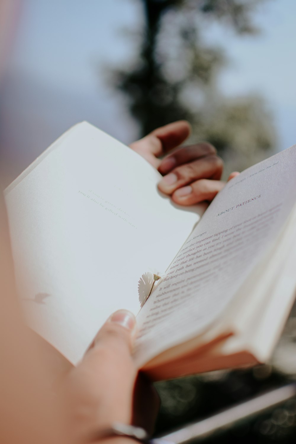 a person holding a book in their hands