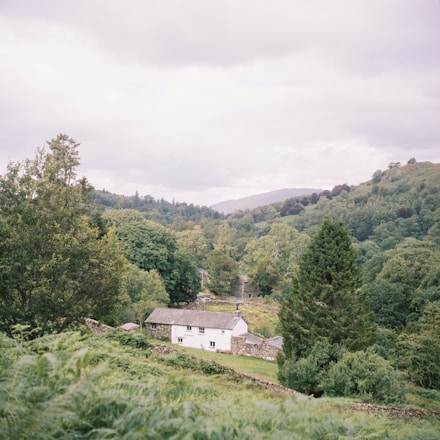 A serene landscape of rolling green hills with a traditional stone cottage.