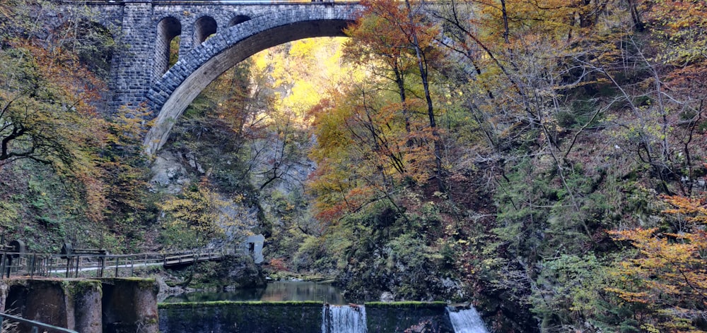 a bridge over a river surrounded by trees