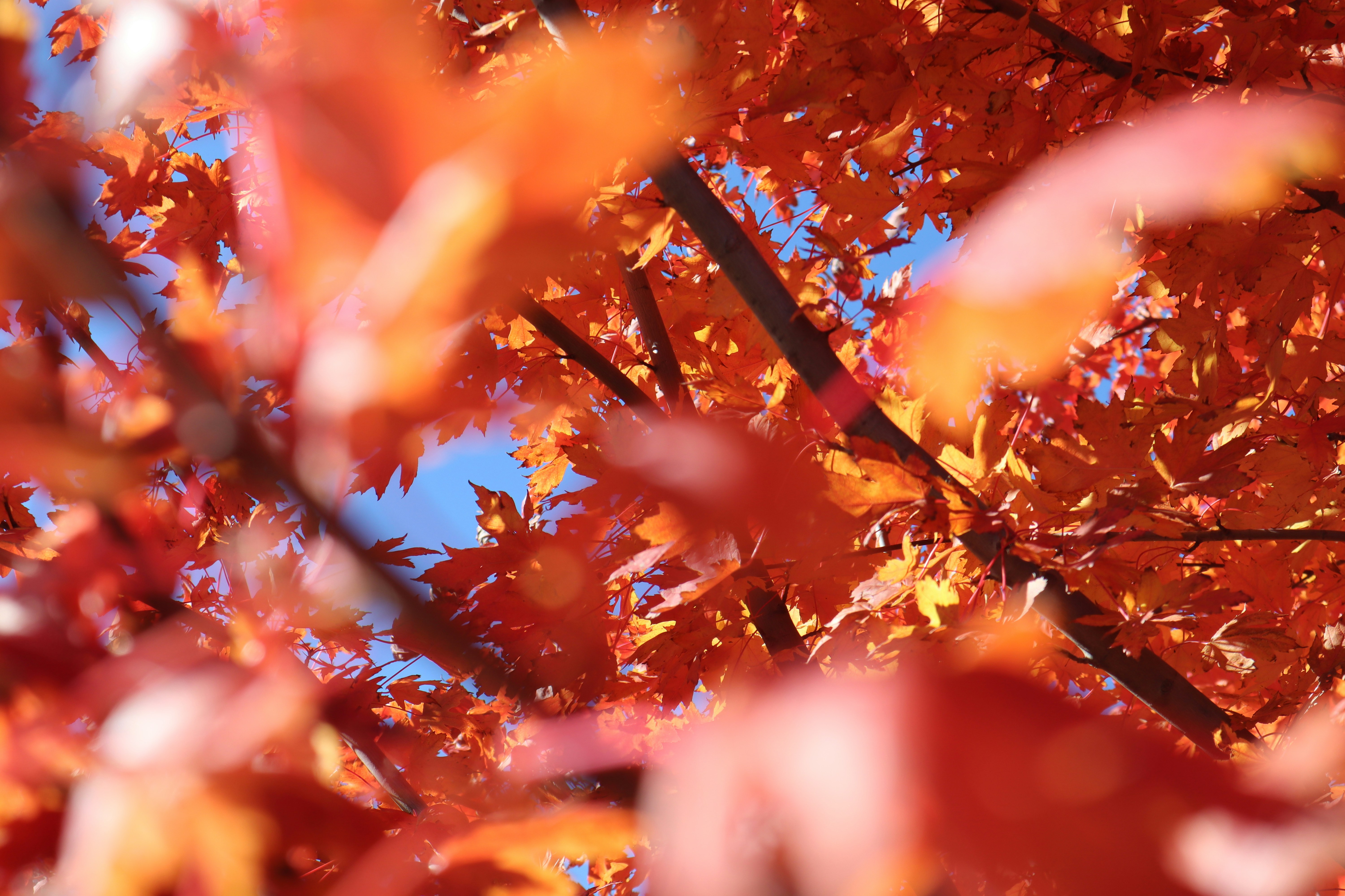 Photo by channel82_fvinc