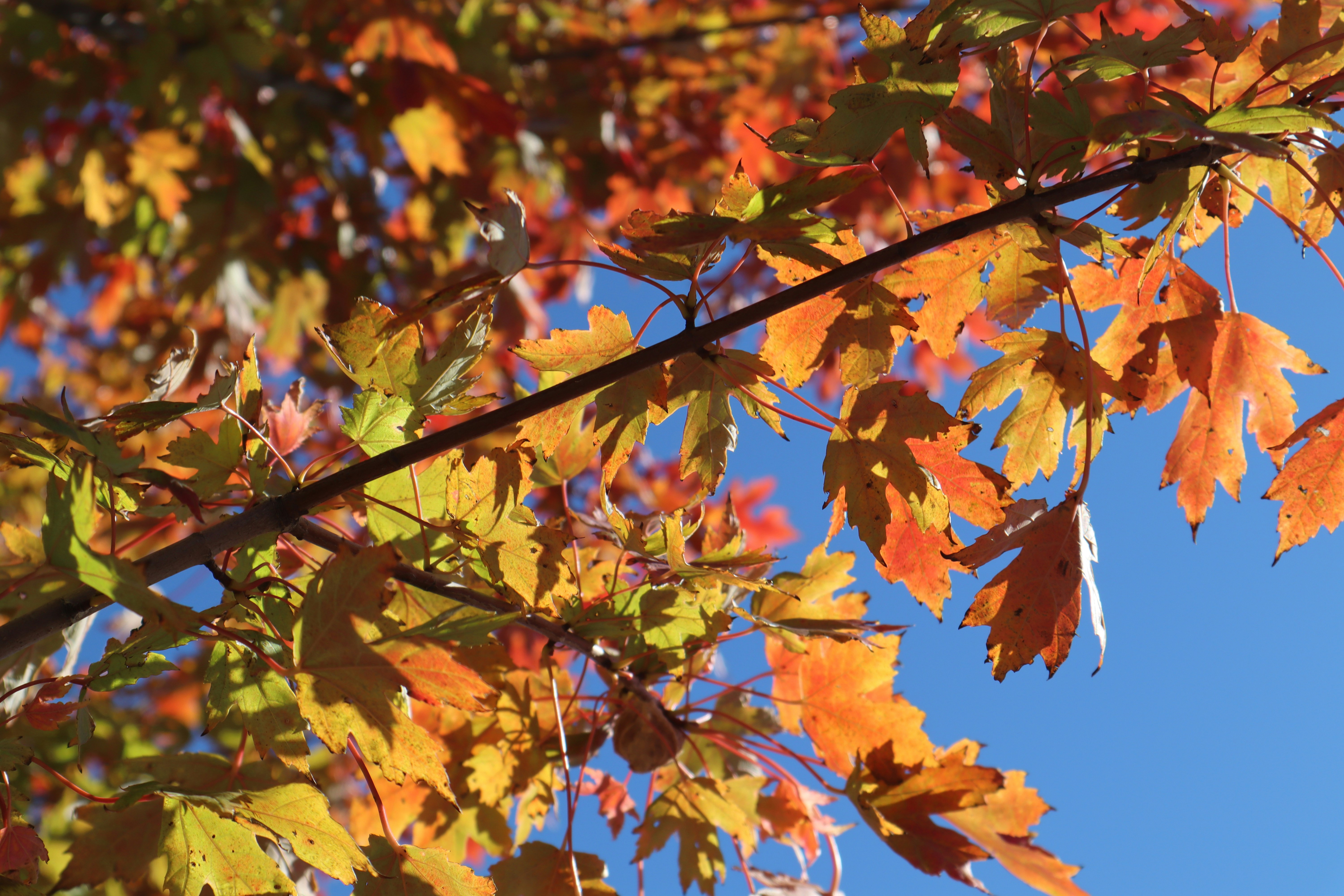 Photo by channel82_fvinc