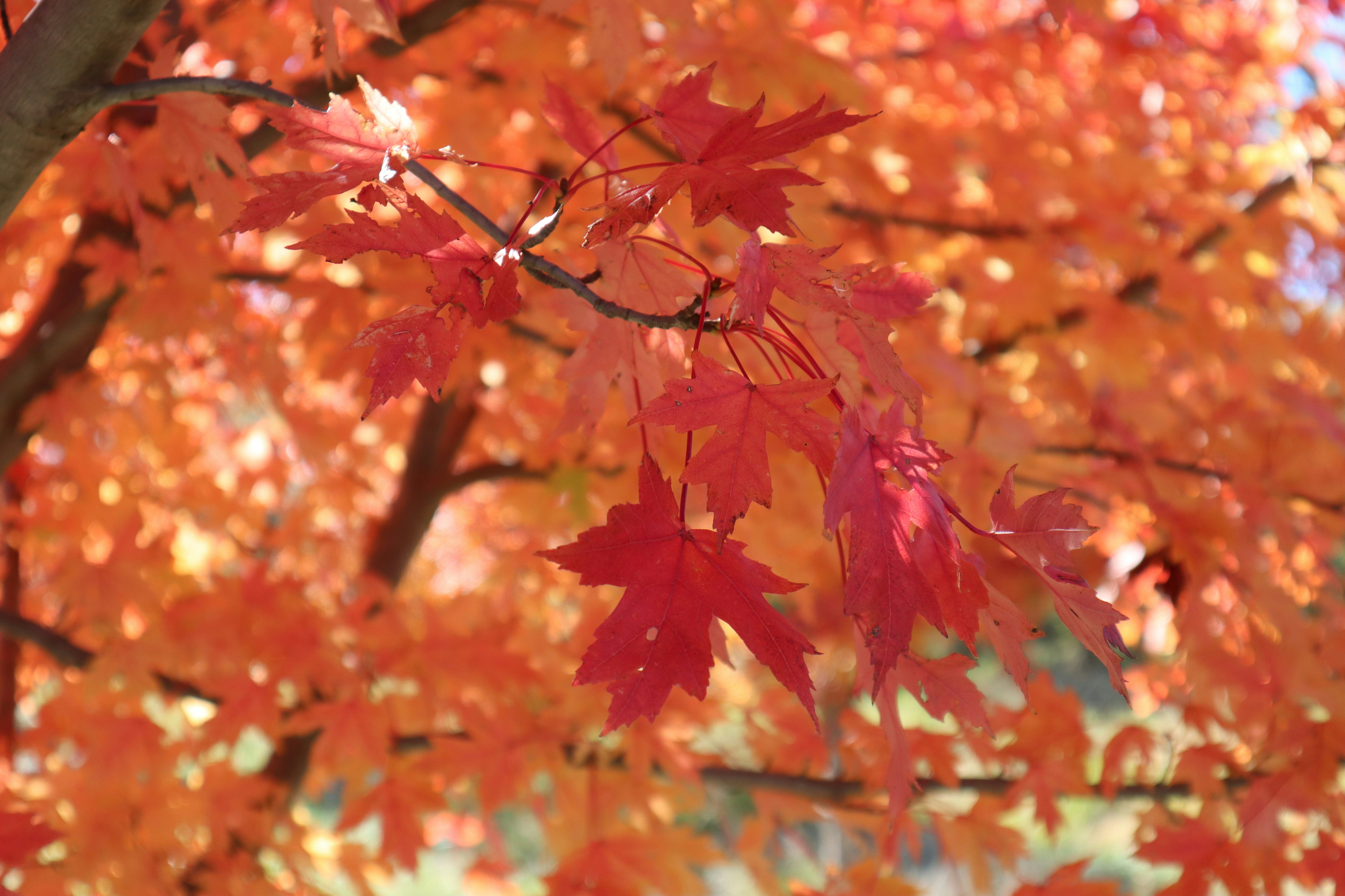 Photo by channel82_fvinc