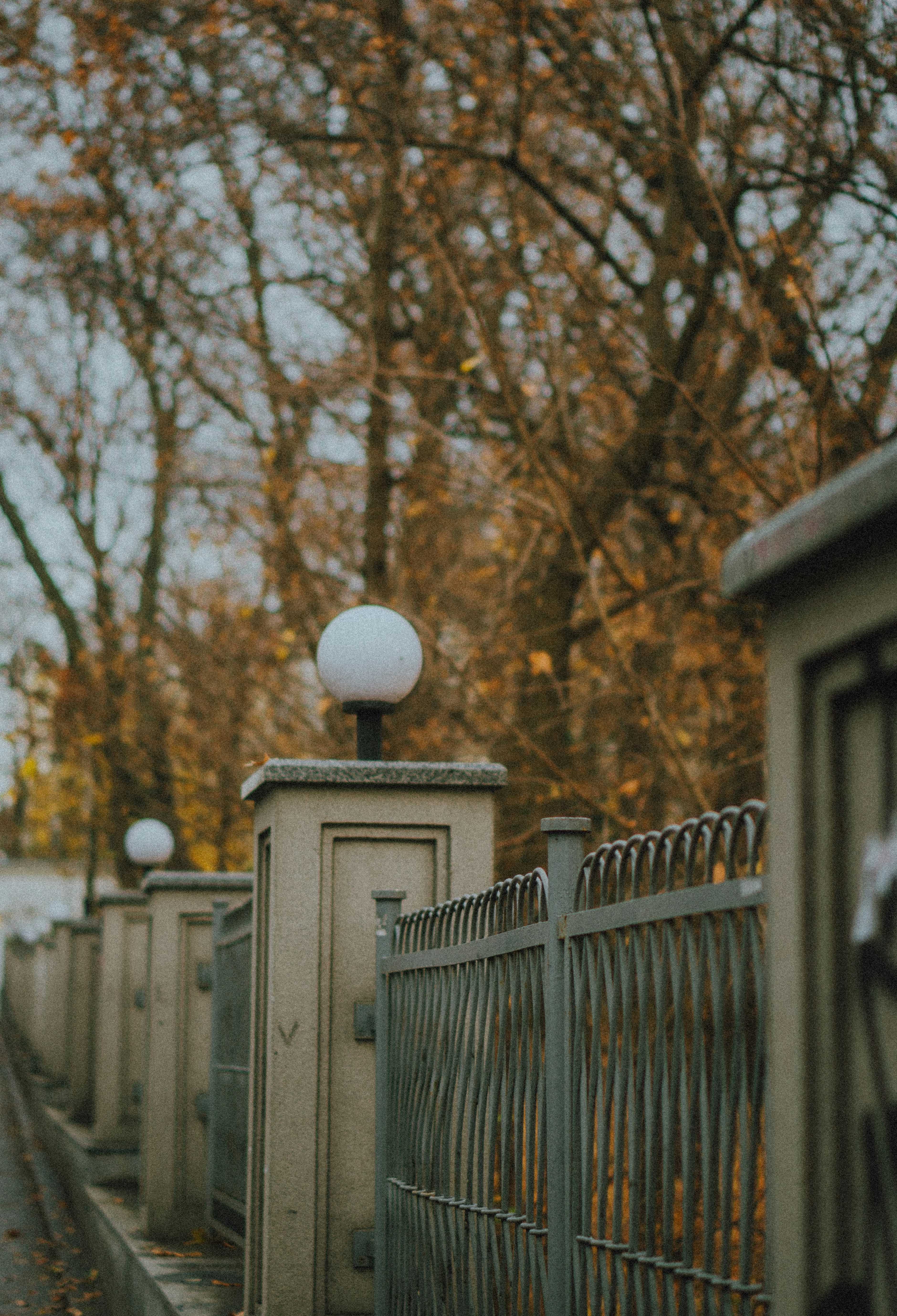 Photo by ulitretynychenko