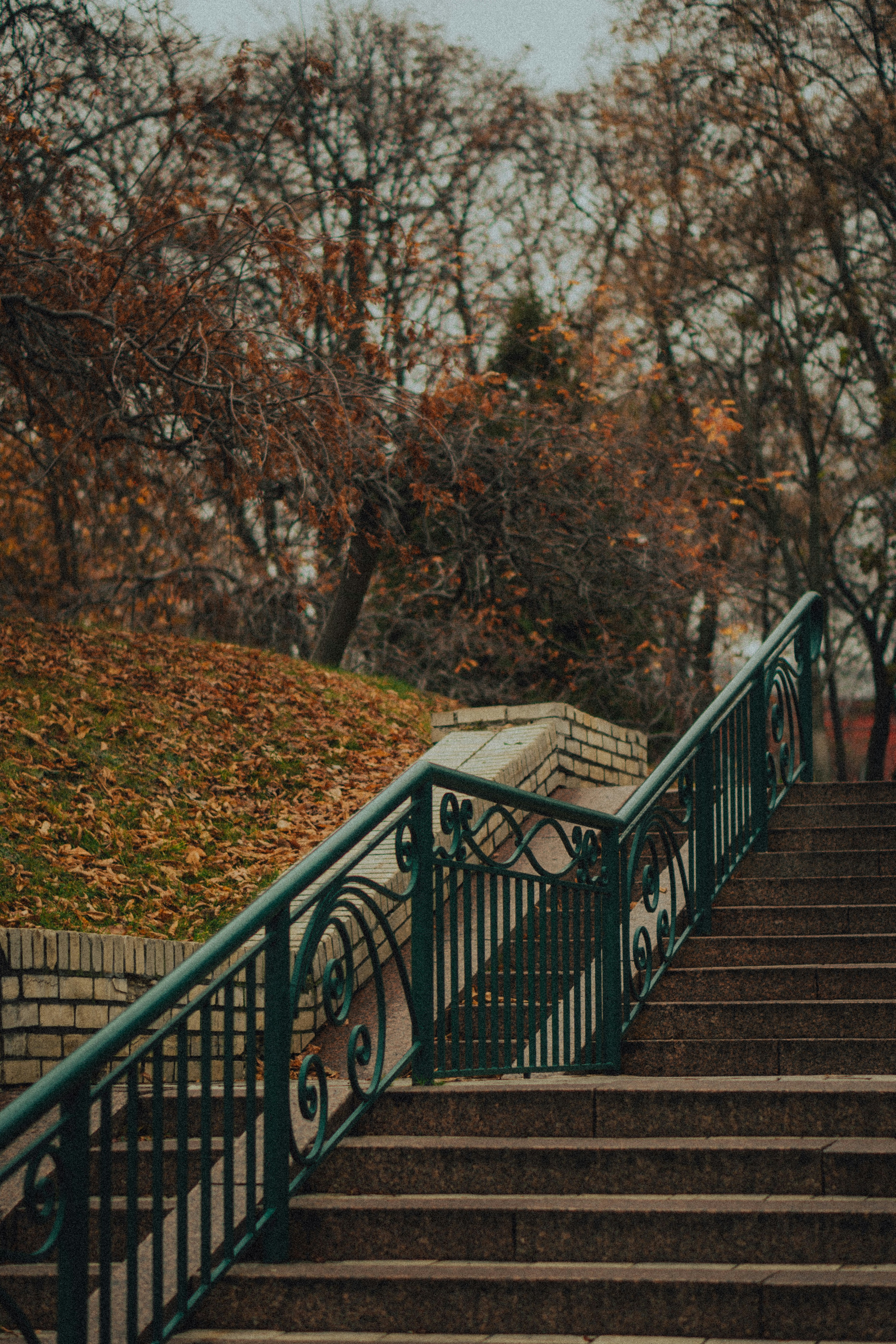 Photo by ulitretynychenko