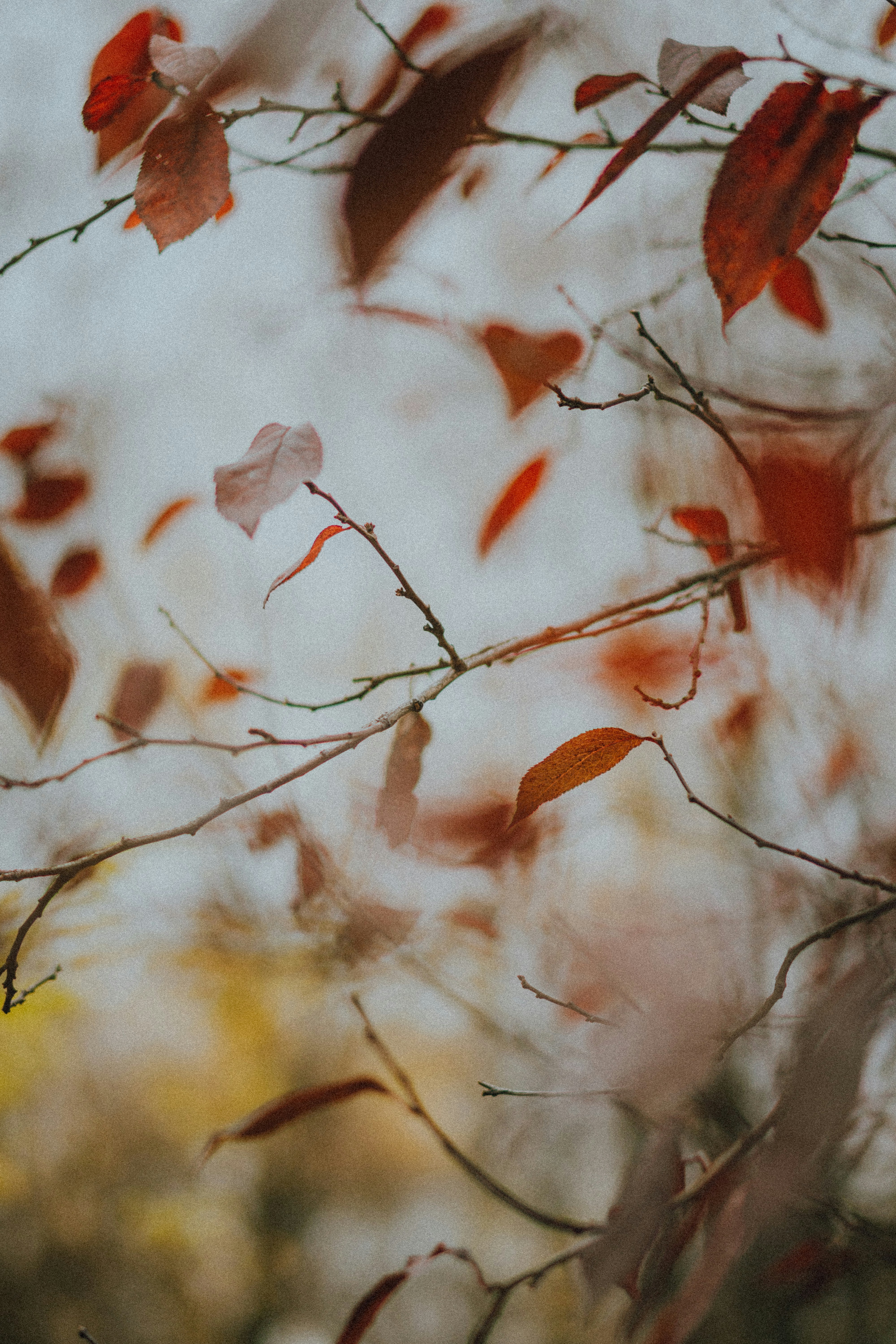 Photo by ulitretynychenko